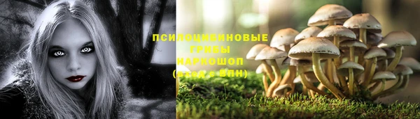 Альфа ПВП Белокуриха