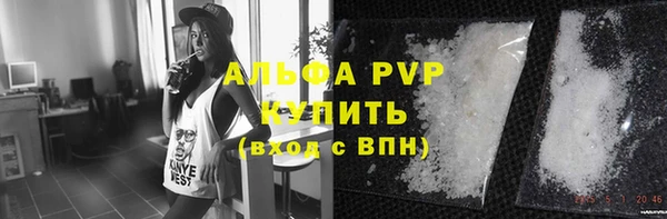 гидра Богородск