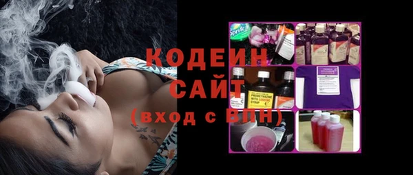 гидра Богородск