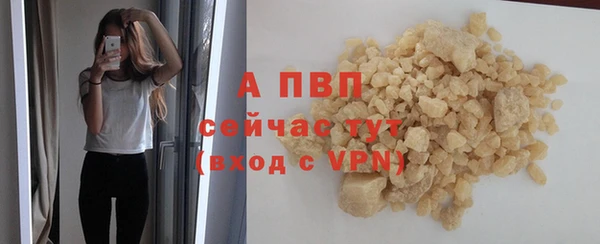 гидра Богородск