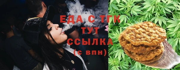 гидра Богородск