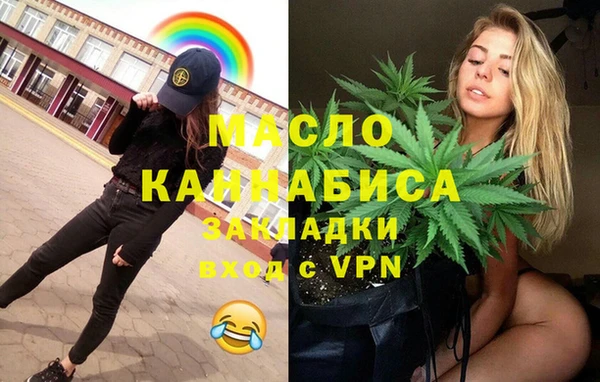 гидра Богородск